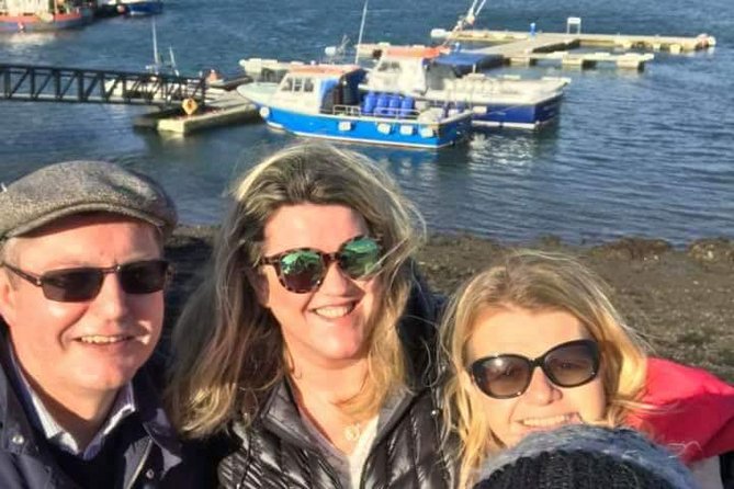 Ring of Kerry Tour Private Chauffeur Driven From Killarney - Kerry Cliffs: Skelligs views, replica huts, and a manageable walk