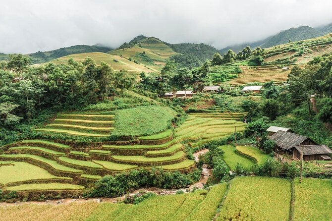 Sa Pa 2-Day Moderate Trek and Homestay Limousine Tour from Hanoi - Key highlights you’ll care about