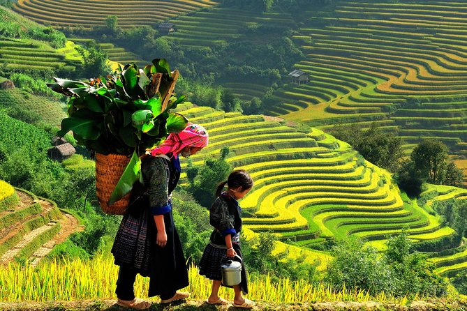 Sa Pa 2-Day Moderate Trek and Homestay Limousine Tour from Hanoi - Getting from Hanoi to Sa Pa without turning it into a headache