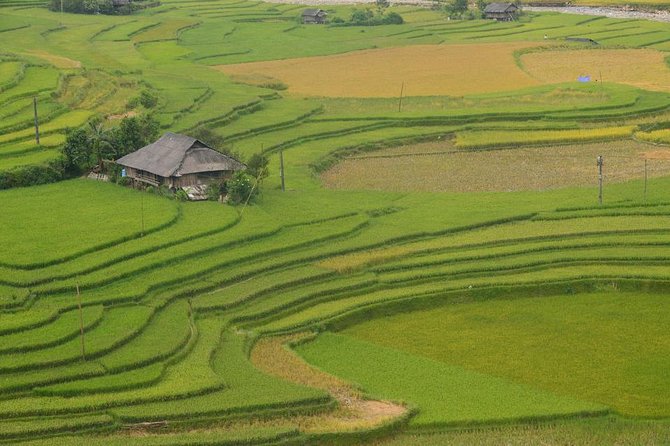 Sa Pa 2-Day Moderate Trek and Homestay Limousine Tour from Hanoi - English guide, but don’t ignore real-world communication