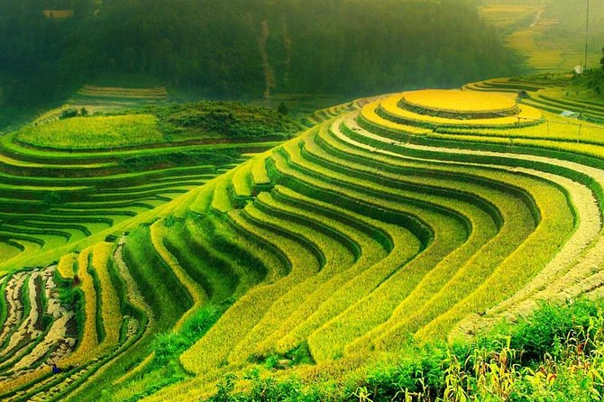 Sa Pa 2-Day Moderate Trek and Homestay Limousine Tour from Hanoi - Day 1 in Ta Van: costumes, arrival time, and settling into the homestay rhythm