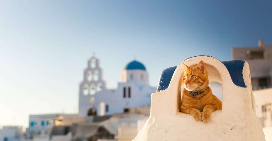 Santorini: Private 4-Hour Chauffeur Service - Key things to know before you go
