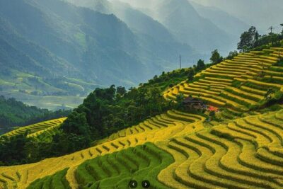 Sapa Half Day Private Car or Motorbike Customized Scenic Tour - Muong Hoa Valley: rice terraces, fresh air, and real “wow” time