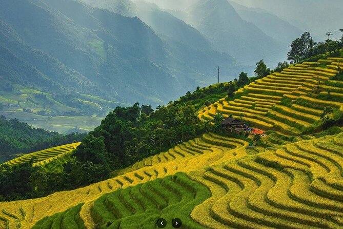 Sapa Half Day Private Car or Motorbike Customized Scenic Tour - Muong Hoa Valley: rice terraces, fresh air, and real “wow” time