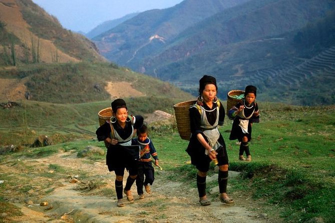 Sapa Private Car Tour - 1 Day Enjoy the Rice Terraced Fields - Key Points to Know Before You Go