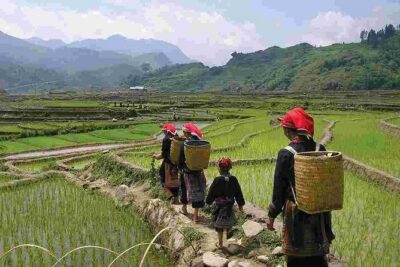 Sapa Private Car Tour - 1 Day Enjoy the Rice Terraced Fields - Your First Views: Sapa to Y Linh Ho and Lao Chai