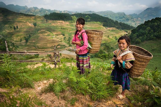 Sapa Private Car Tour - 1 Day Enjoy the Rice Terraced Fields - Lao Chai: Hmong Village, Terrace History, and Better Explanations