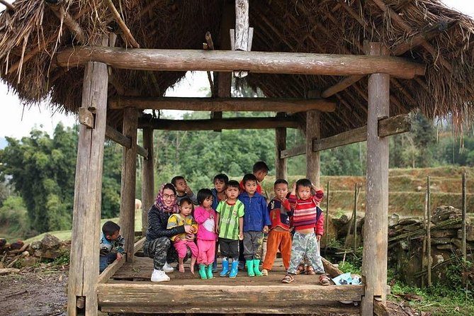 Sapa Private Car Tour - 1 Day Enjoy the Rice Terraced Fields - Walking Style: Short Treks, Car Transfers, and Real-World Comfort