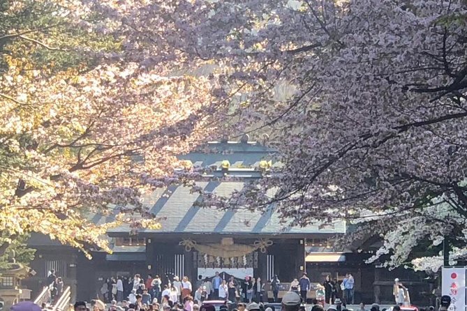 [Sapporo] Go by private car! Takino Cemetery, Hokkaido Shrine, Shiroi Koibito Park - Key things that make this Sapporo day trip work