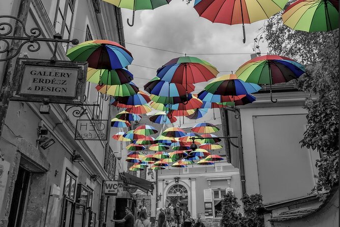 Scenic Danube River bend hills & the Art Town: Private Car Tour - Lunch and food breaks: simple choices that keep the day comfortable