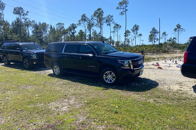 Shared Round Trip Limousine Transfer - The Shared Limousine Experience: Comfort vs. Reality Checks