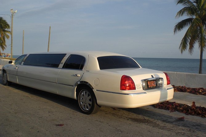 Shared Round Trip Limousine Transfer - The Return Plan: 12pm to 4pm and Half-Hour Departures