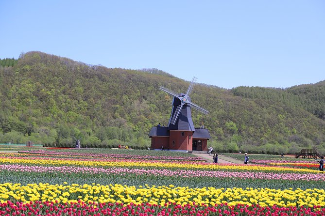 [Shibazakura / Tulip] Going by private car, Shibazakura Takinoue Park and Kamiyubetsu Tulip Park (from Sapporo) - The private-car advantage: comfort for a long seasonal day