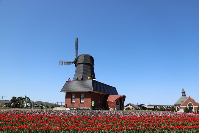 [Shibazakura / Tulip] Going by private car, Shibazakura Takinoue Park and Kamiyubetsu Tulip Park (from Sapporo) - Kamiyubetsu Tulip Park: why the numbers matter