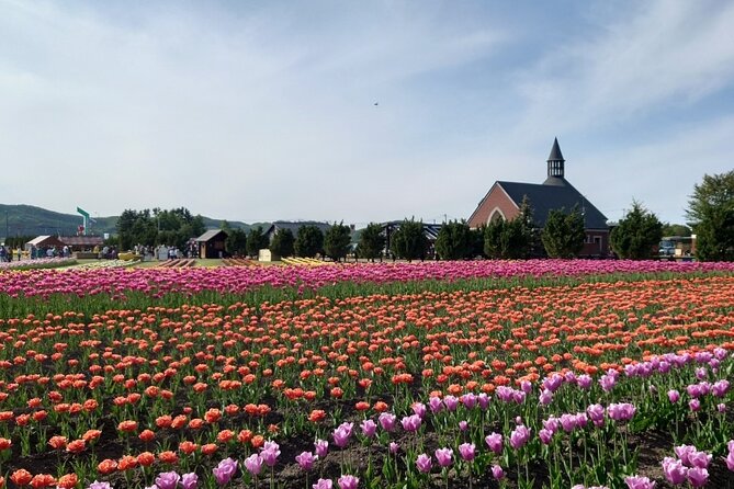 [Shibazakura / Tulip] Going by private car, Shibazakura Takinoue Park and Kamiyubetsu Tulip Park (from Sapporo) - Price and value for a group of up to five
