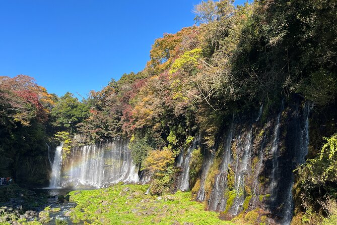 Shimizu Port Private Car Tour – Mt. Fuji & Local Highlights - Stop 6: Mt. Fuji World Heritage Centre for the facts and context