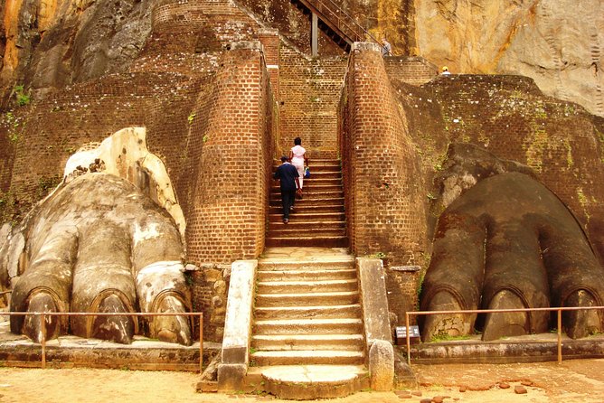 Sigiriya Day Tour from Colombo or Negombo by Private Car / Van - Stop 3: Minneriya National Park and a nature-focused reset
