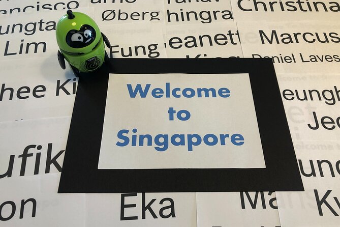 Singapore Arrival Ground Transfer in Limo-Bus - Your driver is more than a driver: Alan and the city tips