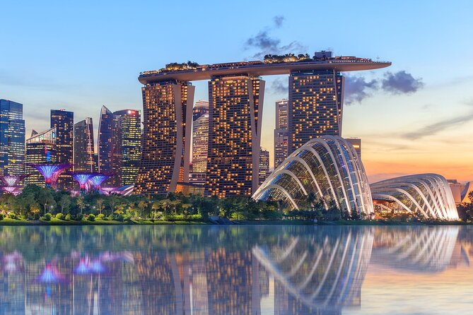 Singapore Escorted Tours - Private Car Charter in Singapore - Which Car You’ll Ride: Alphard/Vellfire vs. Minibus for Up to 12