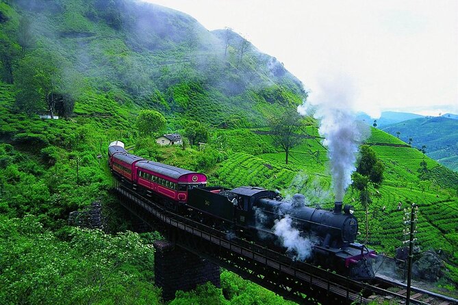 Sri Lanka; Professional Chauffeur Guide With Modern Vehicles - Modern vehicles and GPS tracking you can feel good about