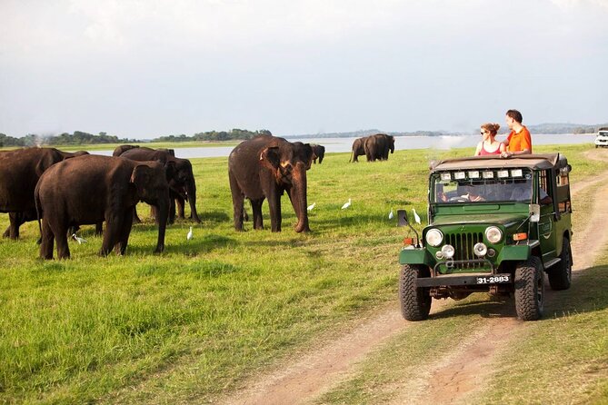 Sri Lanka; Professional Chauffeur Guide With Modern Vehicles - Itinerary themes: Colombo, tea highlands, cultural sights, beaches, and safari days