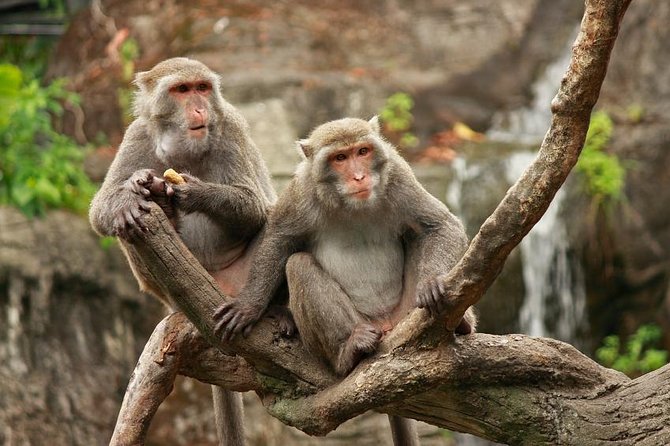 Taipei Private Car Charter Tour - Key Things to Know Before You Ride