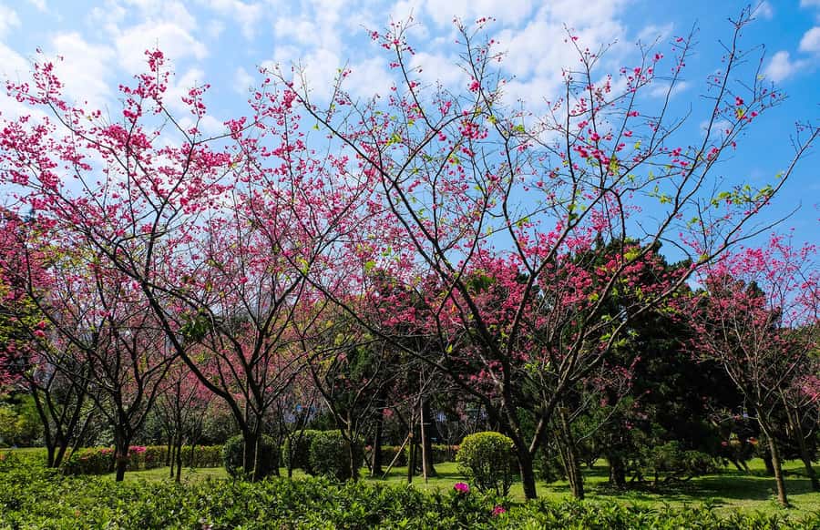 Taiwan Taipei: 8-Hour Customized Taipei City Exploration! - Custom Taipei in Eight Hours: the Big Idea