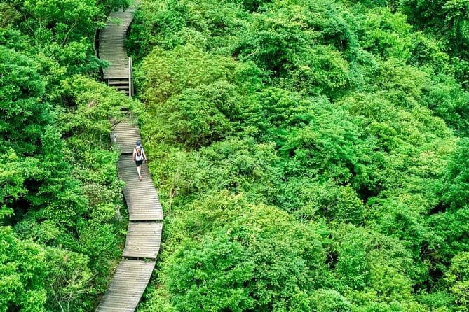 The Big Buddha & Lantau Island - Private Tour with Private Car - Lantau Island in one day: what makes it worth your time