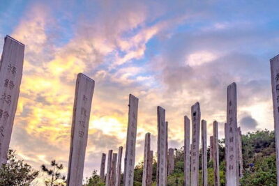 The Big Buddha & Lantau Island - Private Tour with Private Car - Private car flow: why the 7 hours feel manageable