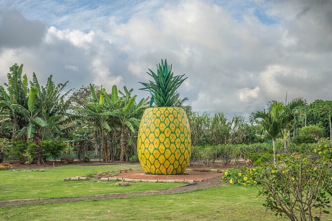 "The Dole Plantation" & "North Shore" Private Limousine VIP Tour! - Stop 2: North Shore Macadamia Nut Company tasting without the guesswork