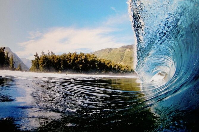 "The Dole Plantation" & "North Shore" Private Limousine VIP Tour! - Who this North Shore VIP limo tour suits best