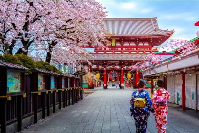 Tokyo City Tour by Private Car & English guide - Key things to know before you go