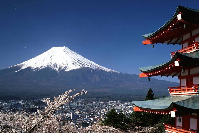 Tokyo City Tour by Private Car & English guide - Choosing Skytree or Tokyo Tower: plan your skyline stop