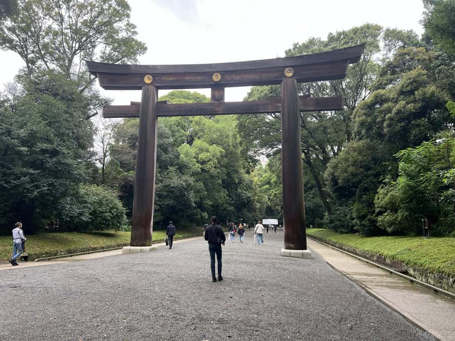 Tokyo Full-Day Tour with Private Car - Tsukiji Outer Market and lunch: best use of a guided food stop