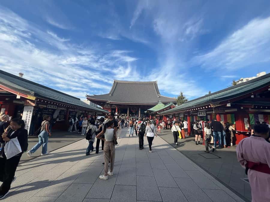 Tokyo Full-Day Tour with Private Car - Meiji Jingu Shrine, then Shibuya: calming start, loud middle
