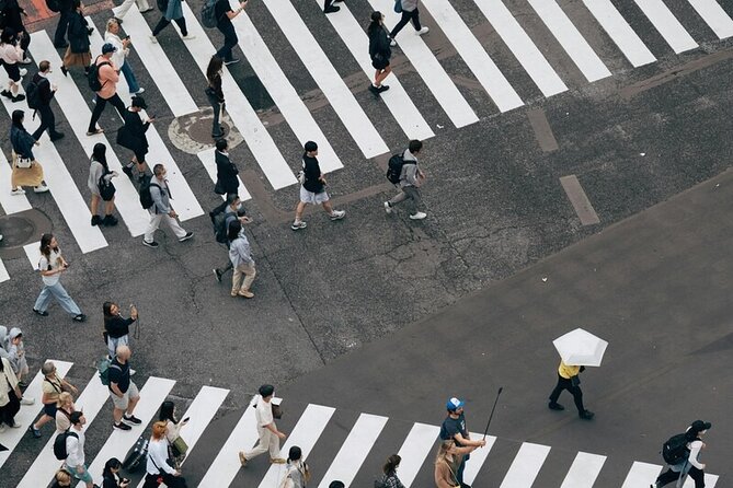 Tokyo Made Easy | Private Chauffeur Day Adventure | Car and Guide - Tokyo Station, Akihabara, and the urban speed-change you didn’t plan for