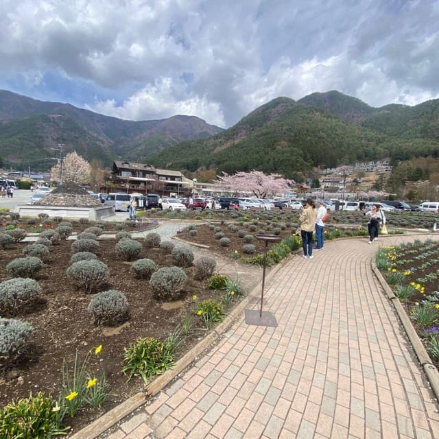 Tokyo: Mount Fuji & Hakone Private Car Day Tour Lowest Price - Quick Takeaways Before You Go