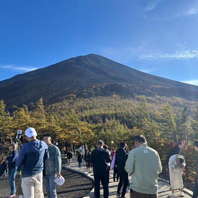 Tokyo: Mount Fuji & Hakone Private Car Day Tour Lowest Price - Who This Tour Suits Best (And Who Should Rethink It)