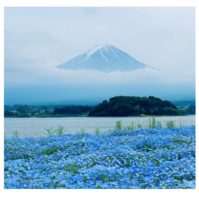 Tokyo: Mount Fuji & Hakone Private Car Day Tour Lowest Price - The Toyota Crown Ride: Comfort, Calm, and Helpful Driving