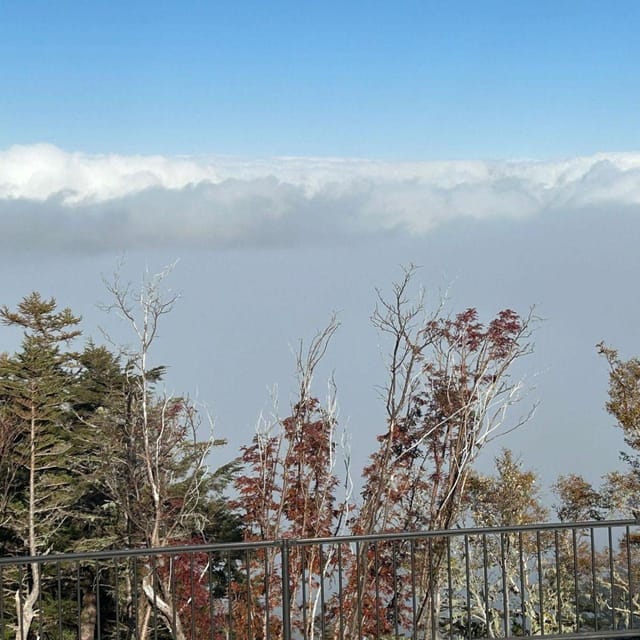 Tokyo: Mount Fuji & Hakone Private Car Day Tour Lowest Price - Hakone Highlights: Sulfur Vents to Lake Ashi Views