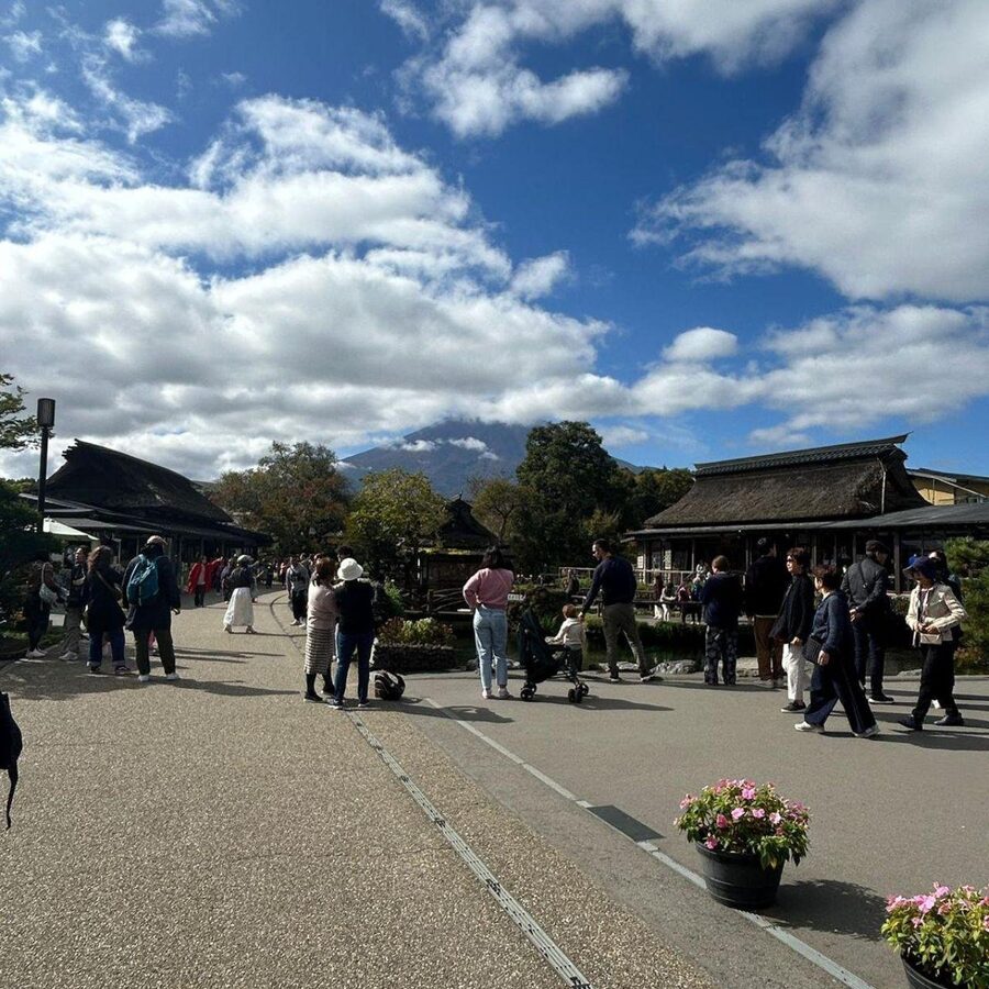 Tokyo: Mount Fuji & Hakone Private Car Day Tour Lowest Price - Customization and Driver Help: The Real Difference