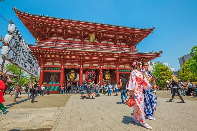 Tokyo Private Chauffeur Tour - Fully Guided - Private Chauffeur Tour: Why This Format Works in Tokyo
