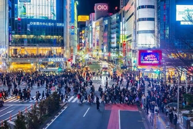 Tokyo Private Chauffeur Tour - Fully Guided - Stop 2: Tsukiji Outer Market for a Food-First Hour