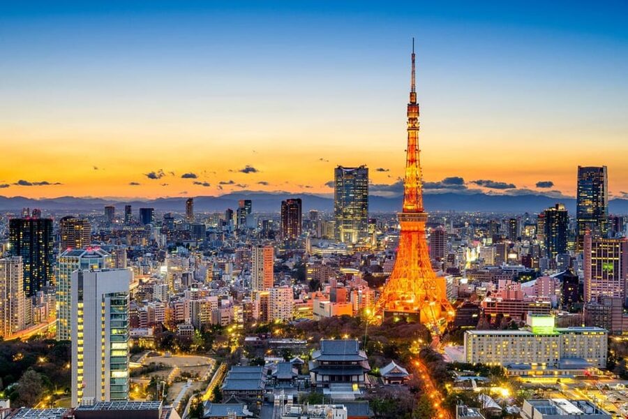 Tokyo: Private Customizable City Tour with Chauffeur - Key highlights worth your attention