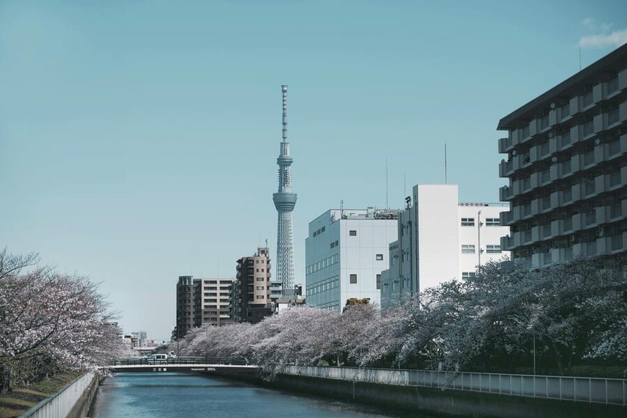 Tokyo: Private Customizable City Tour with Chauffeur - Sky views that make the day feel worth it