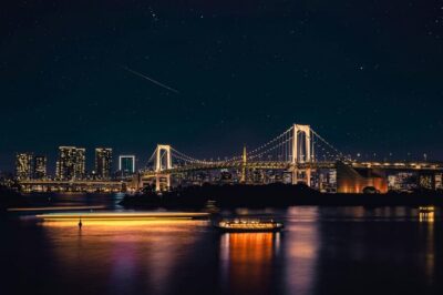 Tokyo: Private Customizable City Tour with Chauffeur - The route that strings together Tokyo’s big contrasts