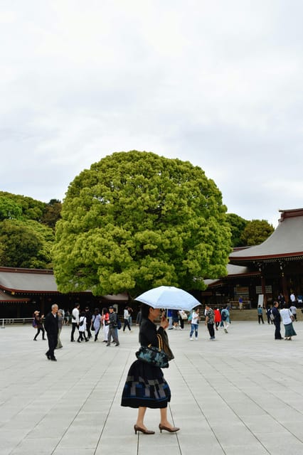 Tokyo: Private Customizable City Tour with Chauffeur - The chauffeur: the real difference-maker