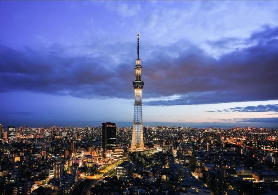 Tokyo: Private Customizable Day Tour with Chauffeur - Key things that make this Tokyo day tour work