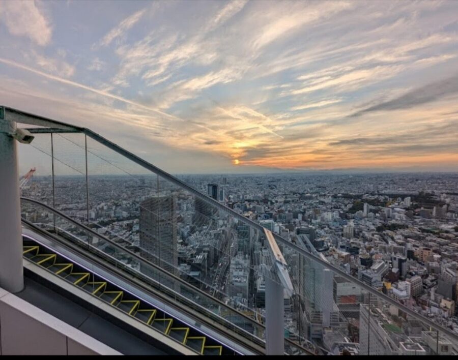 Tokyo: Private Customizable Day Tour with Chauffeur - What’s included, and what you should budget for
