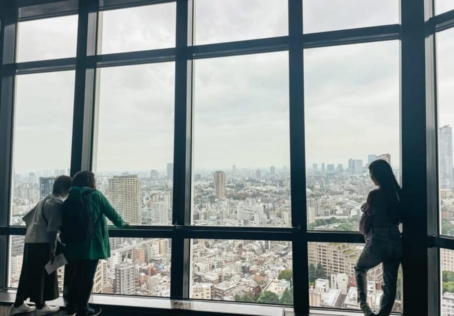 Tokyo: Private Customizable Day Tour with Chauffeur - Tokyo Tower vs. Tokyo Skytree: two skyline viewpoints on one day